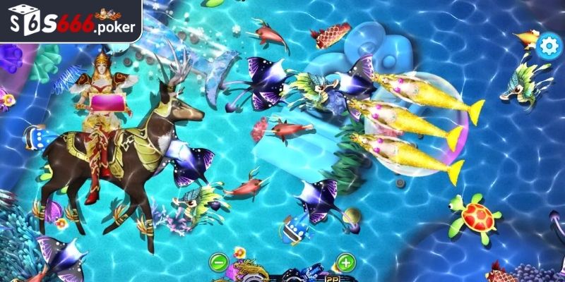 Hệ sinh vật dưới đại dương và tỷ lệ quy đổi điểm thưởng