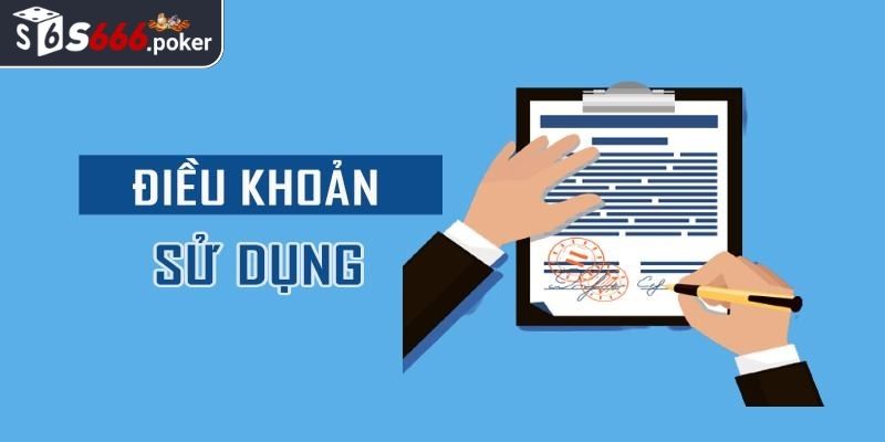 Điều khoản sử dụng S666 là gì?
