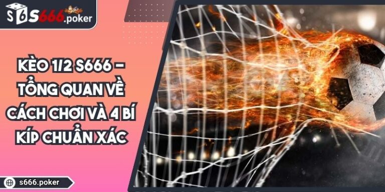 Kèo 1/2 S666 - Tổng Quan Về Cách Chơi Và 4 Bí Kíp Chuẩn Xác 6 Kèo 1/2 S666